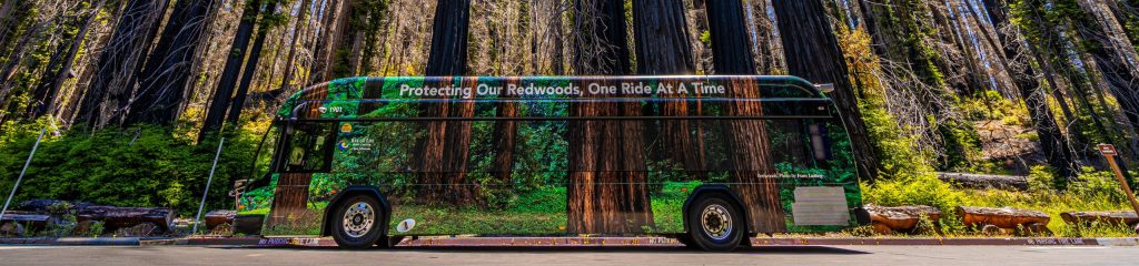 SC Metro Bus in Redwoods