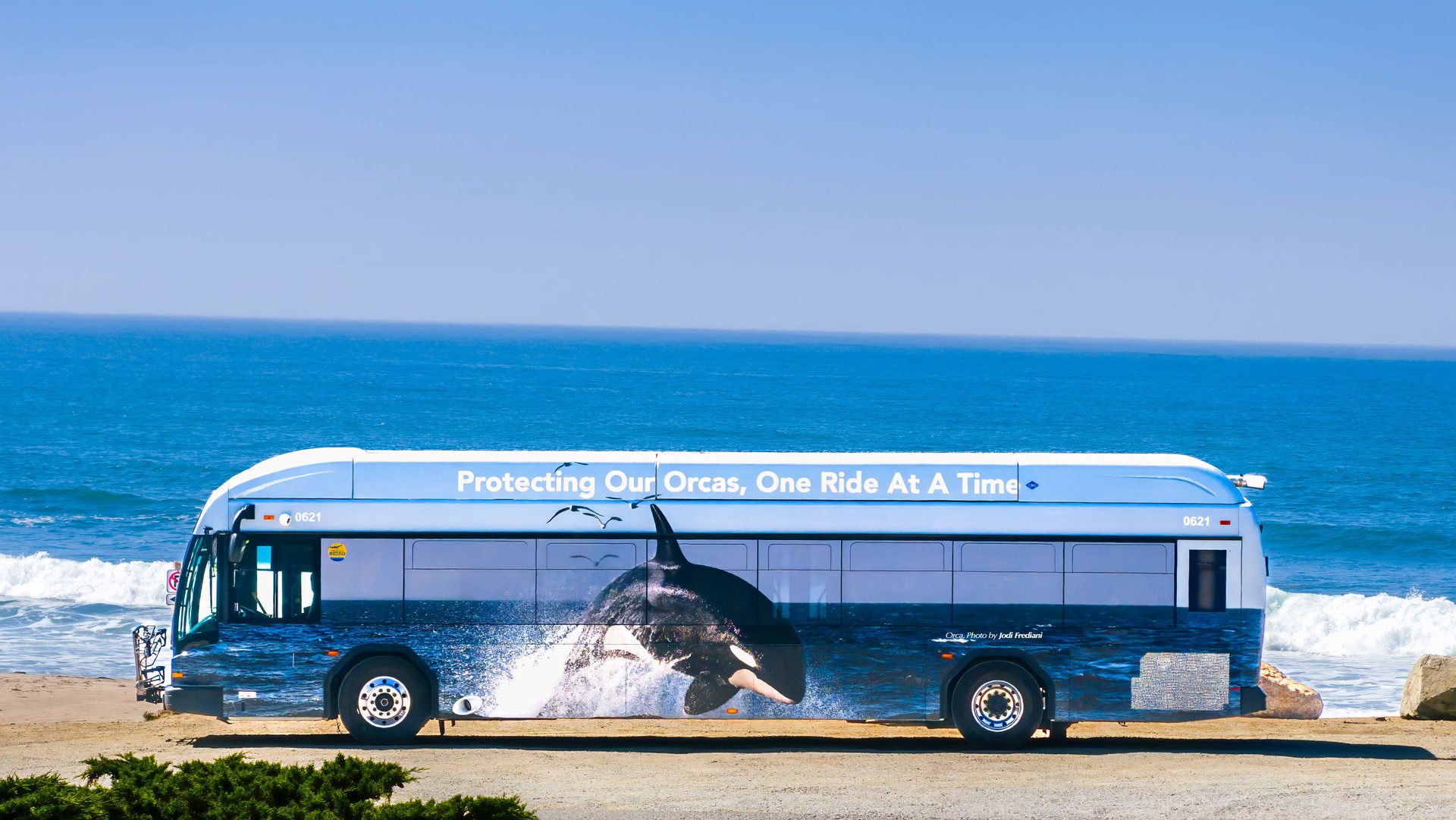 Orca SCMTD bus inf ront of beach