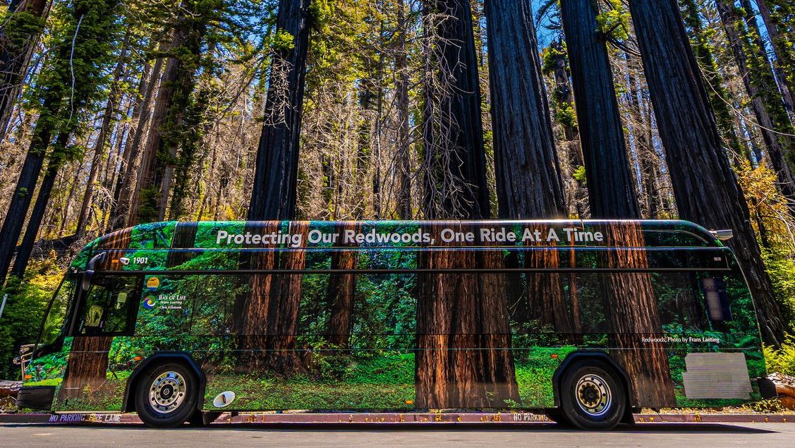 SC Metro Bus in Redwoods